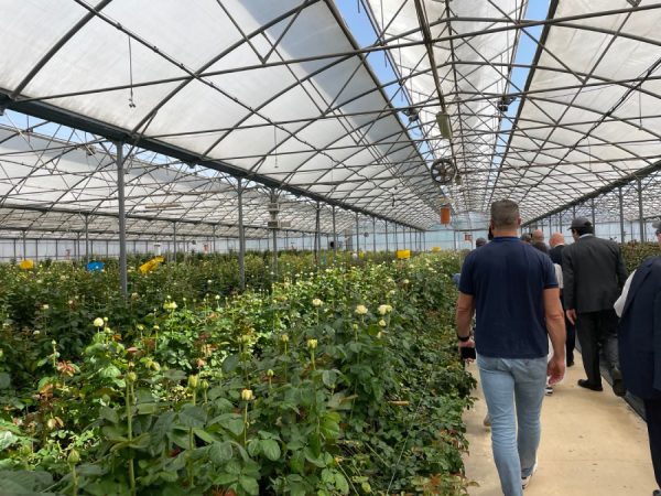 Visite de la pépinière